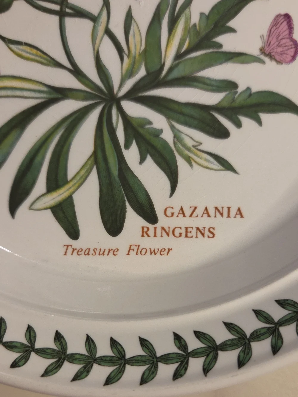 Vintage Portmeirion The Botanic Garden Floral Salad Plates 1972 | Britian Set 4